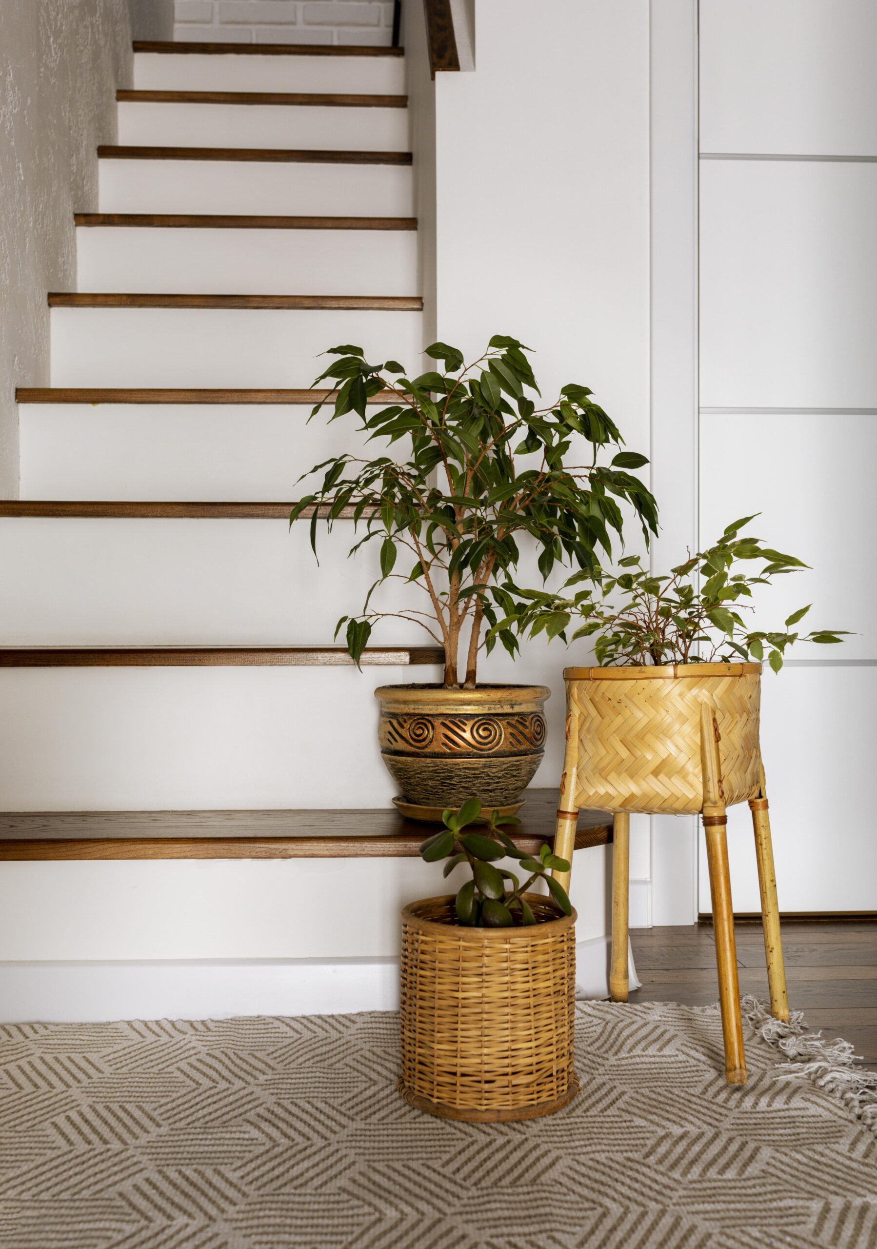 interior-design-with-stairs-and-plants